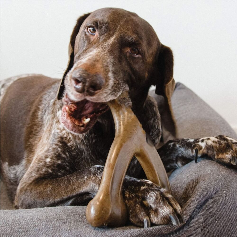 Teething Bones Dog Chew Toy - Bacon-Flavored