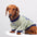Breathable Thin Puppy Crewneck T-Shirt