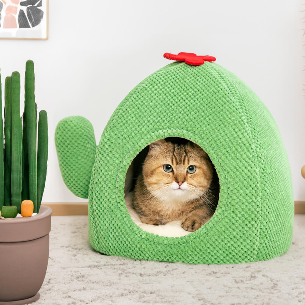 Cactus Shape Warm Cat  Bed