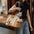 Vogue Eco-friendly Dupont Waterproof Pet Carrier - City Roamer