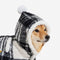 Classic Plaid Warmth Human & Dog Poncho - Festive Companions