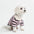 Classic Striped Polo Dog Shirts