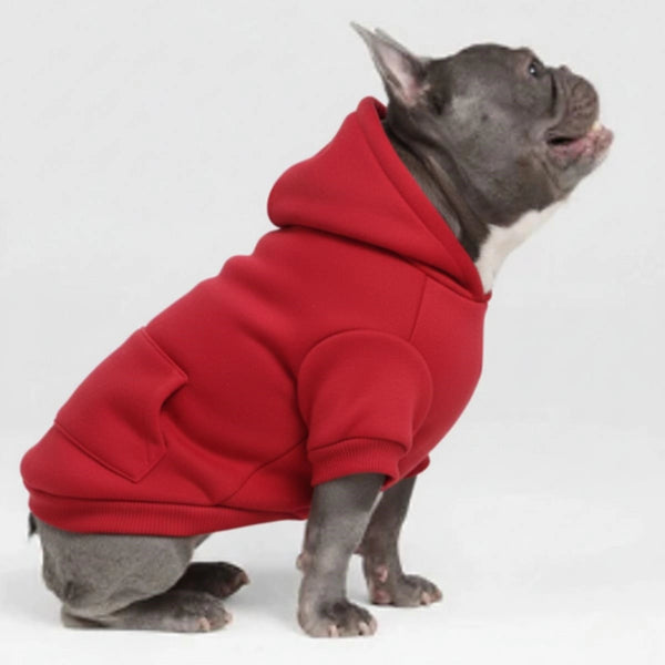 Colorful Cozy Dog Hoodies - Perfect for All-Weather Comfort