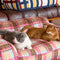 Cozy Plaid Faux Lambs Wool Washable Dog & Cat Sofa Bed - Vintage Modern