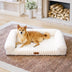 Cream Fluffy Comfort Orthopedic Dog and Cat Sofa Bed