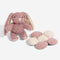 Cream Fluffy Comfort Orthopedic Dog and Cat Sofa Bed