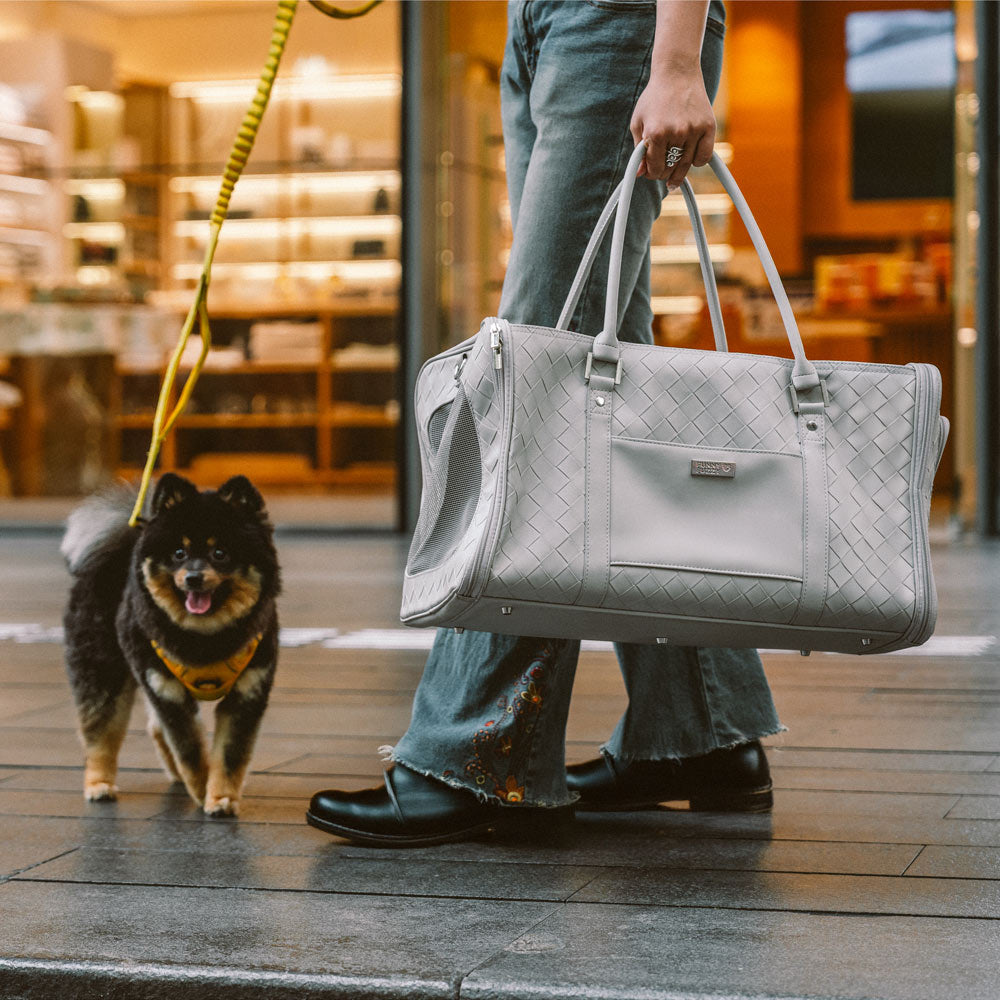 Luxury Multi-Functional Breathable Woven Leather Pet Carrier – The City Companion