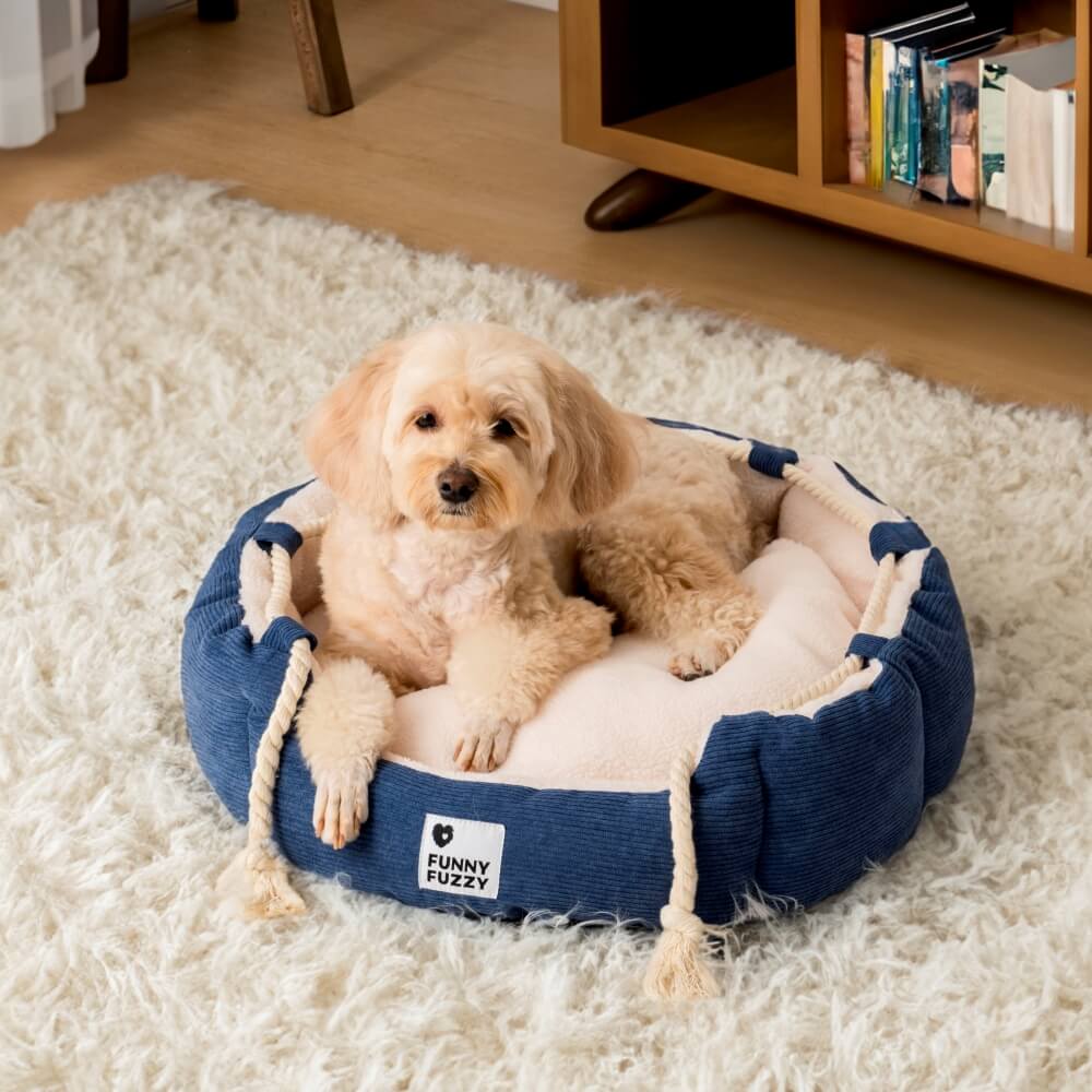 Playful Pull Rope Pet Bed Adjustable Chew-Resistant Dog & Cat Bed