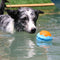 Jouet à mâcher interactif pour chien, jouet d'eau flottant d'extérieur