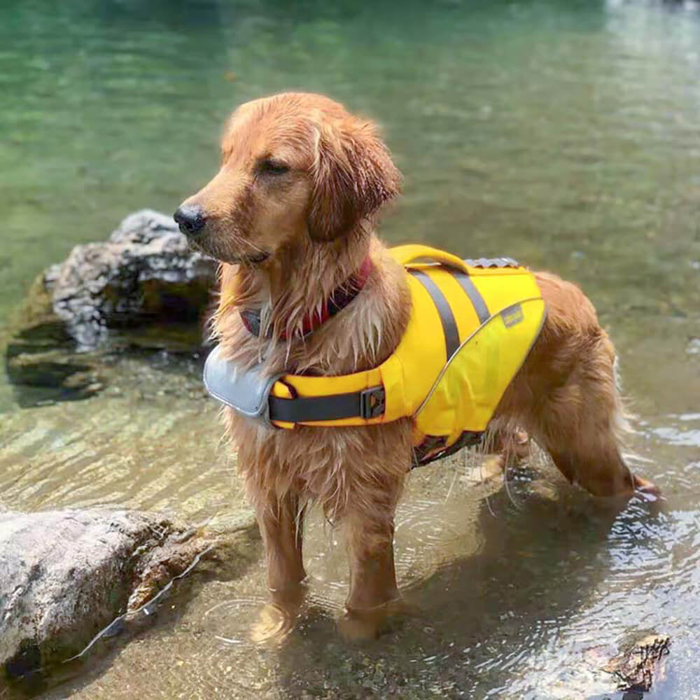 Dog Life Jacket - Lifeguard