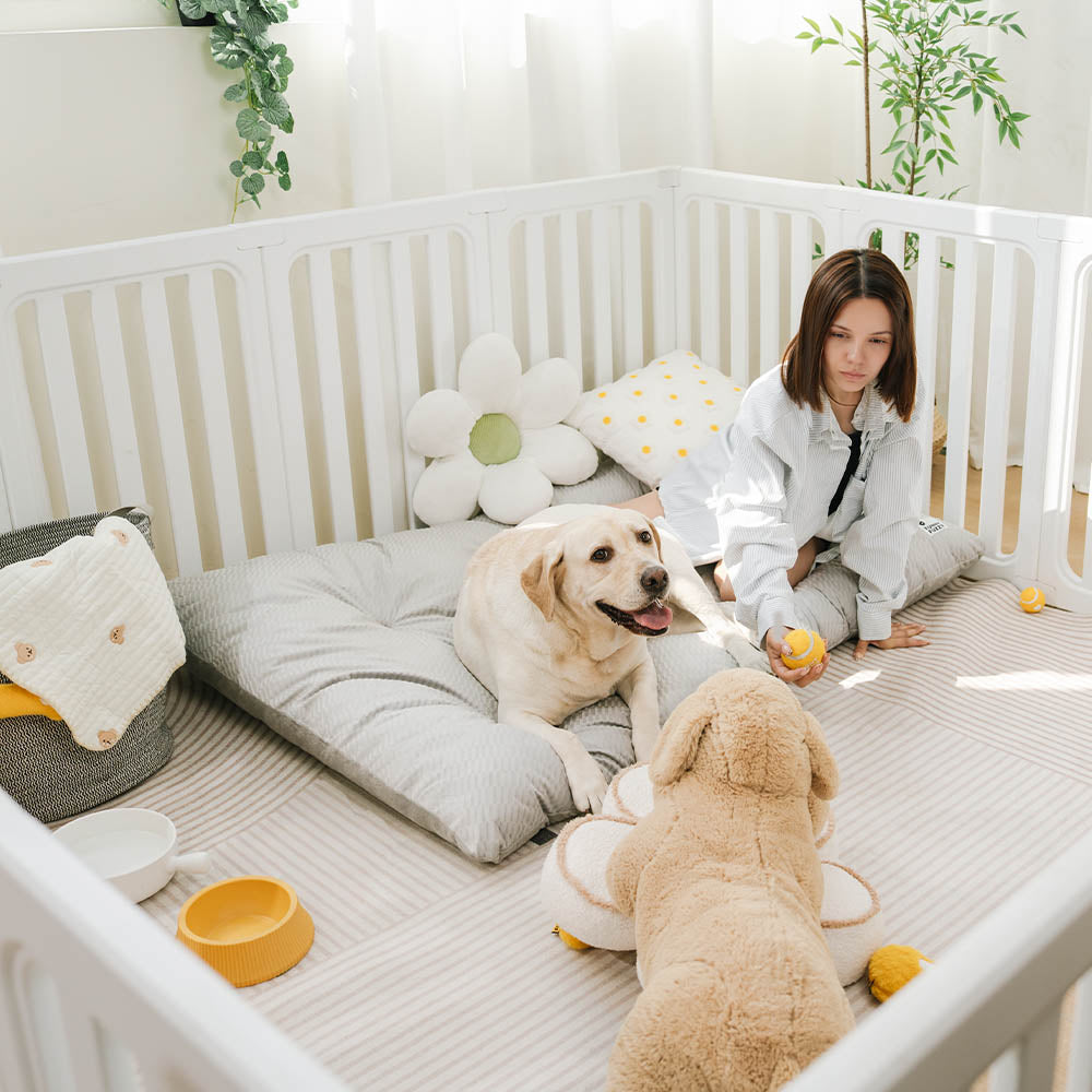 Dual-Sided Cozy Plush Calming Washable Dog Mats