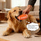 Durable Latex Teething With Squeaker Dog Chew Toy