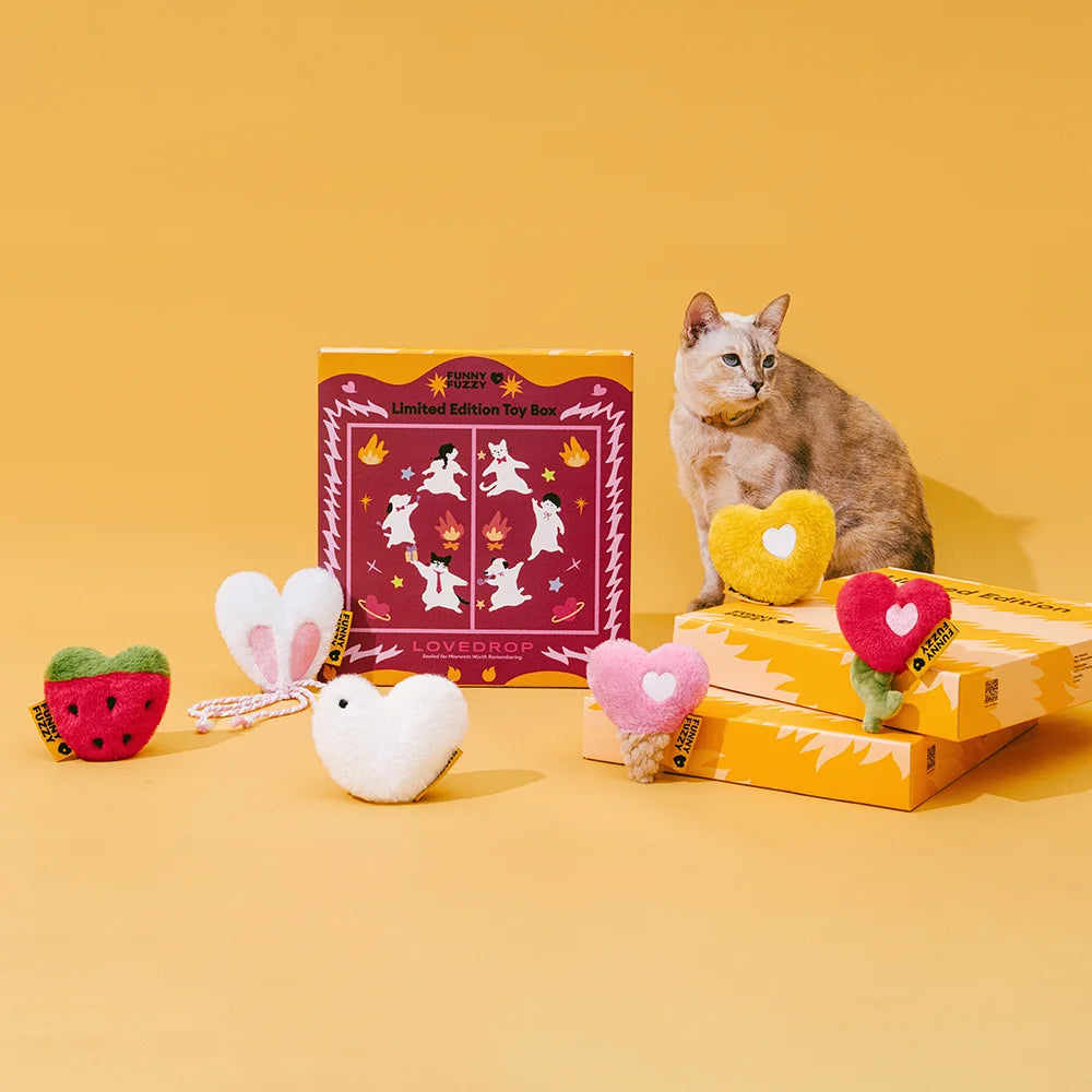 FUNNYFUZZY Limited Edition Toy Box