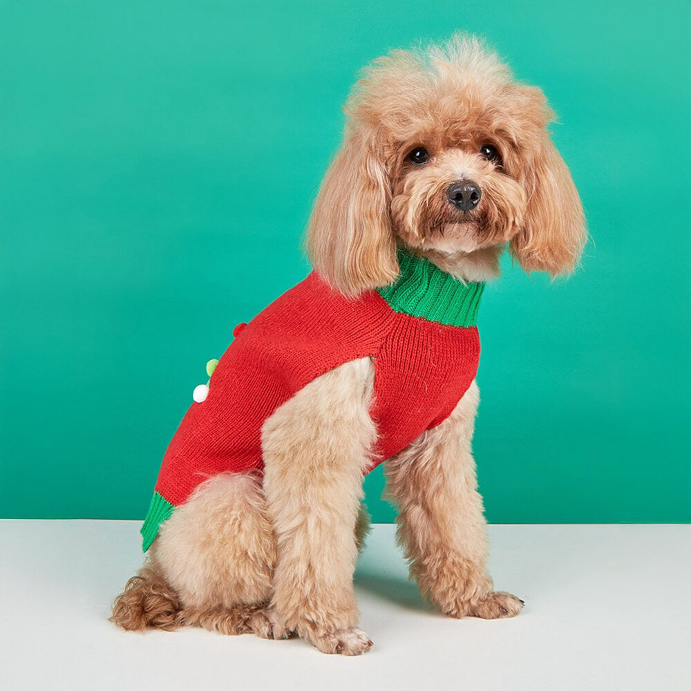 Pull de noël à col roulé pour chien, épais et chaud, chaussettes assorties pour animal de compagnie et propriétaire