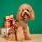 Christmas Thick Warm Turtleneck Dog Sweater Matching Socks For Pet And Owner