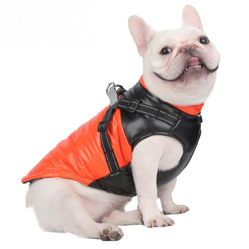 Chic Reflective Waterproof Safety Adjustable Fit Warm Dog Jacket