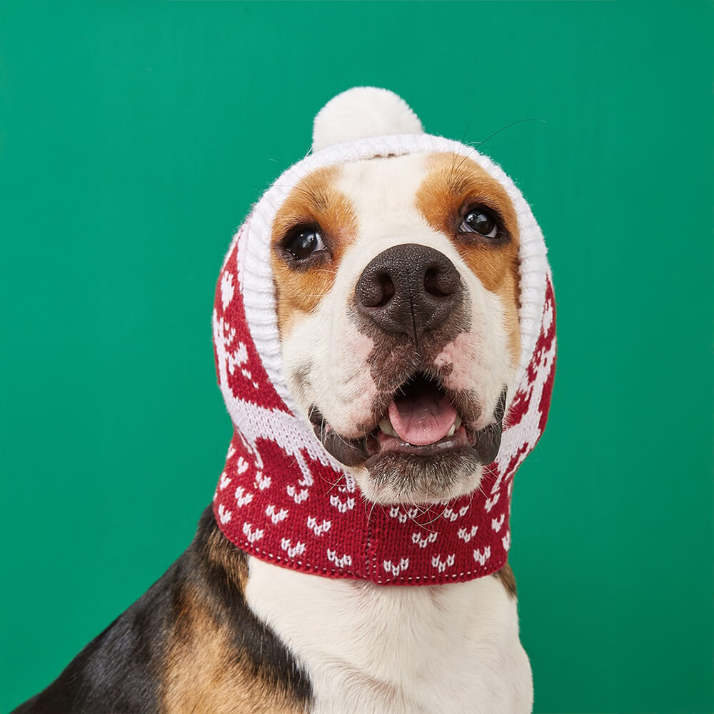 Christmas Reindeer Snowflake Knitted Warm Dog Cat Hat