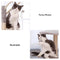 Cozy and Fun Scratch-Resistant Sisal Multi-Level Cat Tree