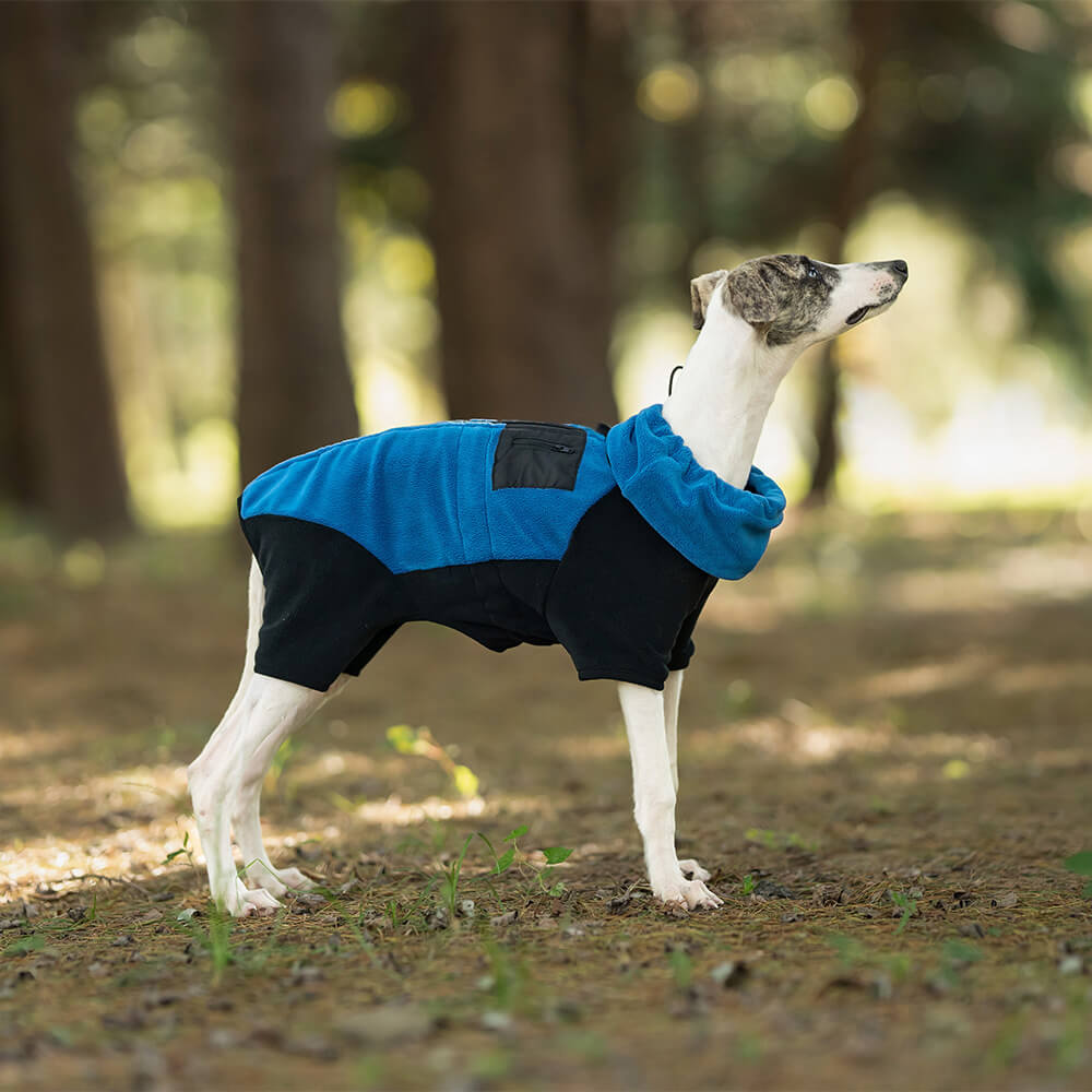 Manteau pour chien en polaire chaude à quatre pattes avec col roulé amovible