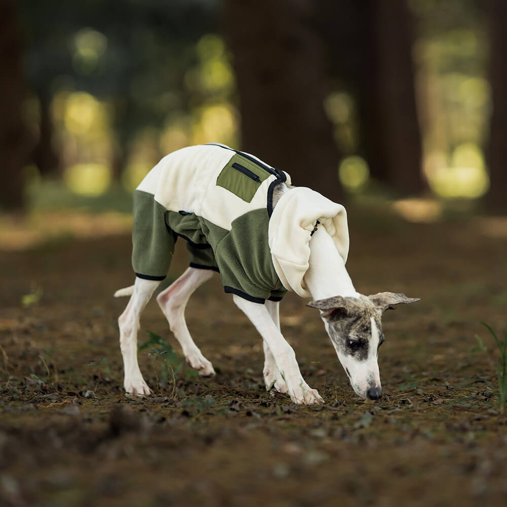 Manteau pour chien en polaire chaude à quatre pattes avec col roulé amovible