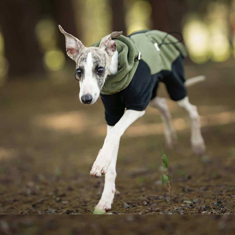 Manteau pour chien en polaire chaude à quatre pattes avec col roulé amovible