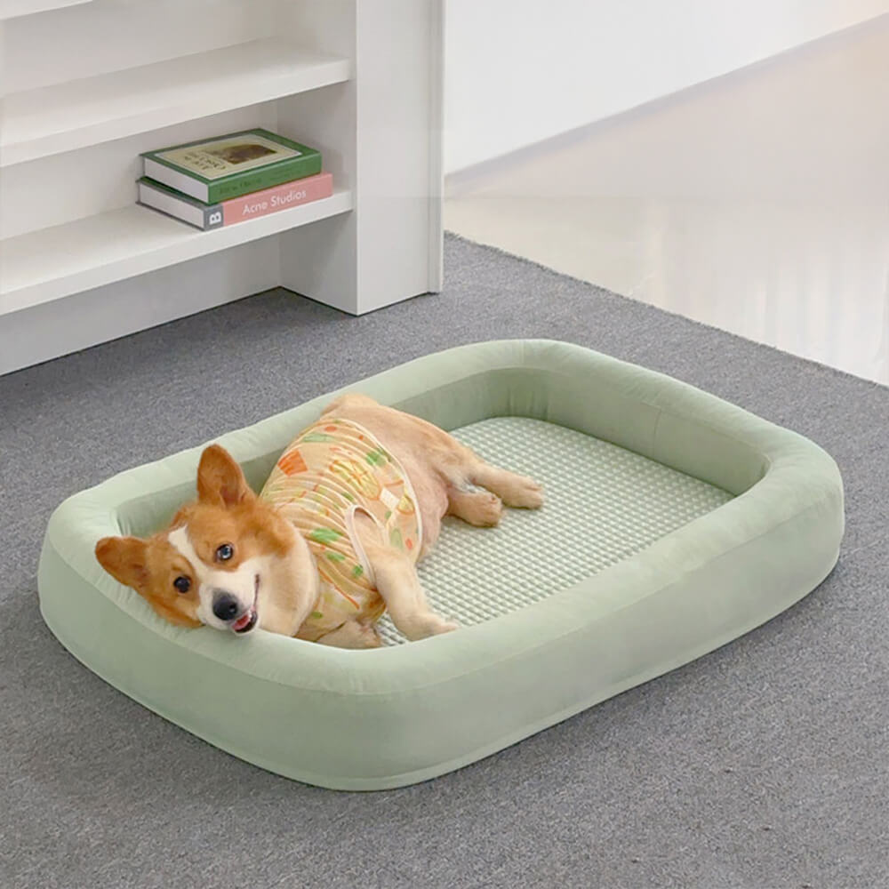 Functional Soft Plush Orthopedic Washable Dog & Cat Bed