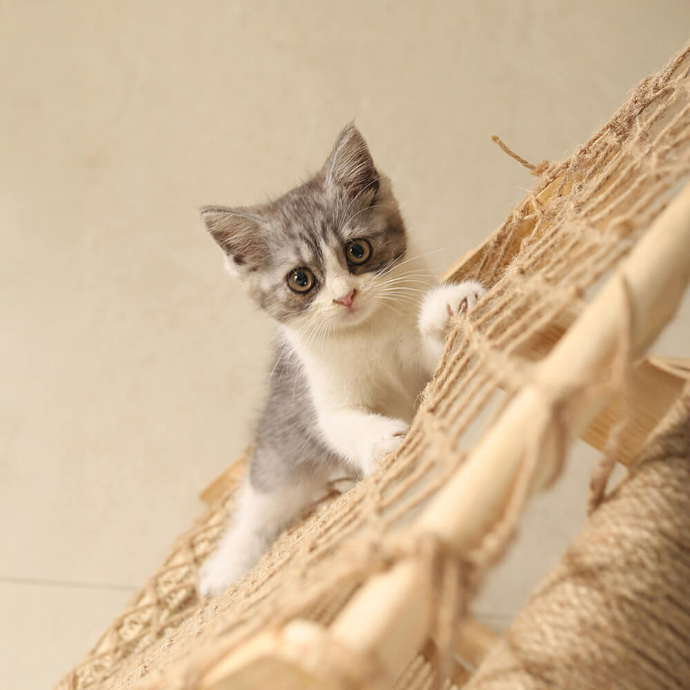 Modern Wooden Cat Tree Funny Scratching Post with Hammock Climbing Net