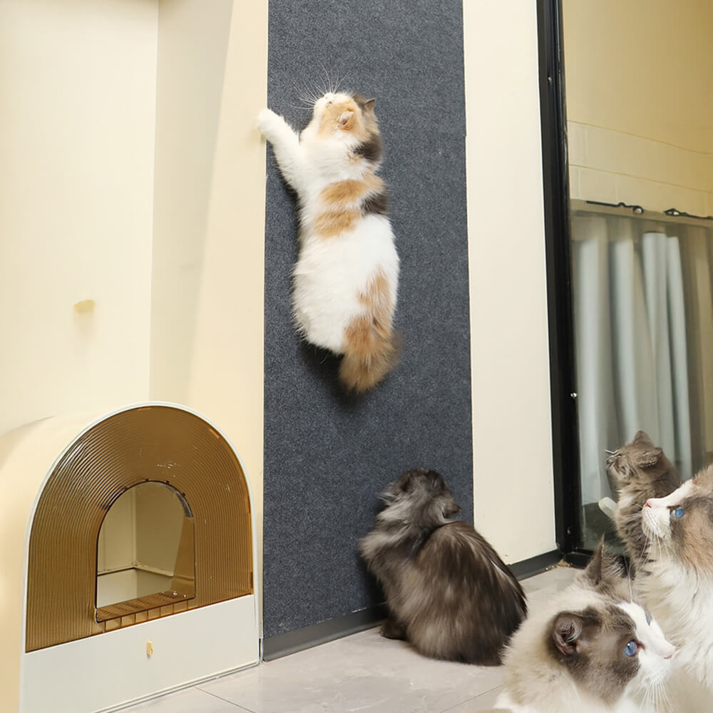 Self-Adhesive Flocked Anti-Scratch Cat Climbing Wall Scratching Board