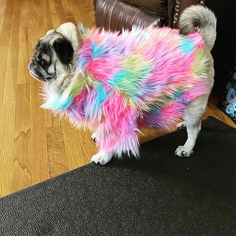 Manteau pour chien arc-en-ciel moelleux et élégant en fausse fourrure colorée