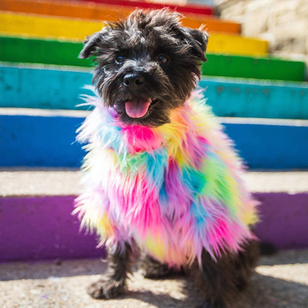 Manteau pour chien arc-en-ciel moelleux et élégant en fausse fourrure colorée