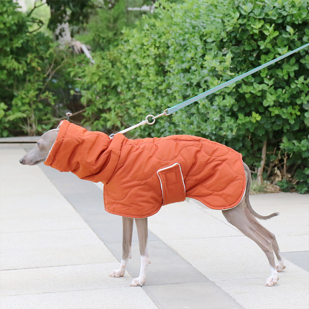 Veste chaude et imperméable matelassée pour chien à col roulé