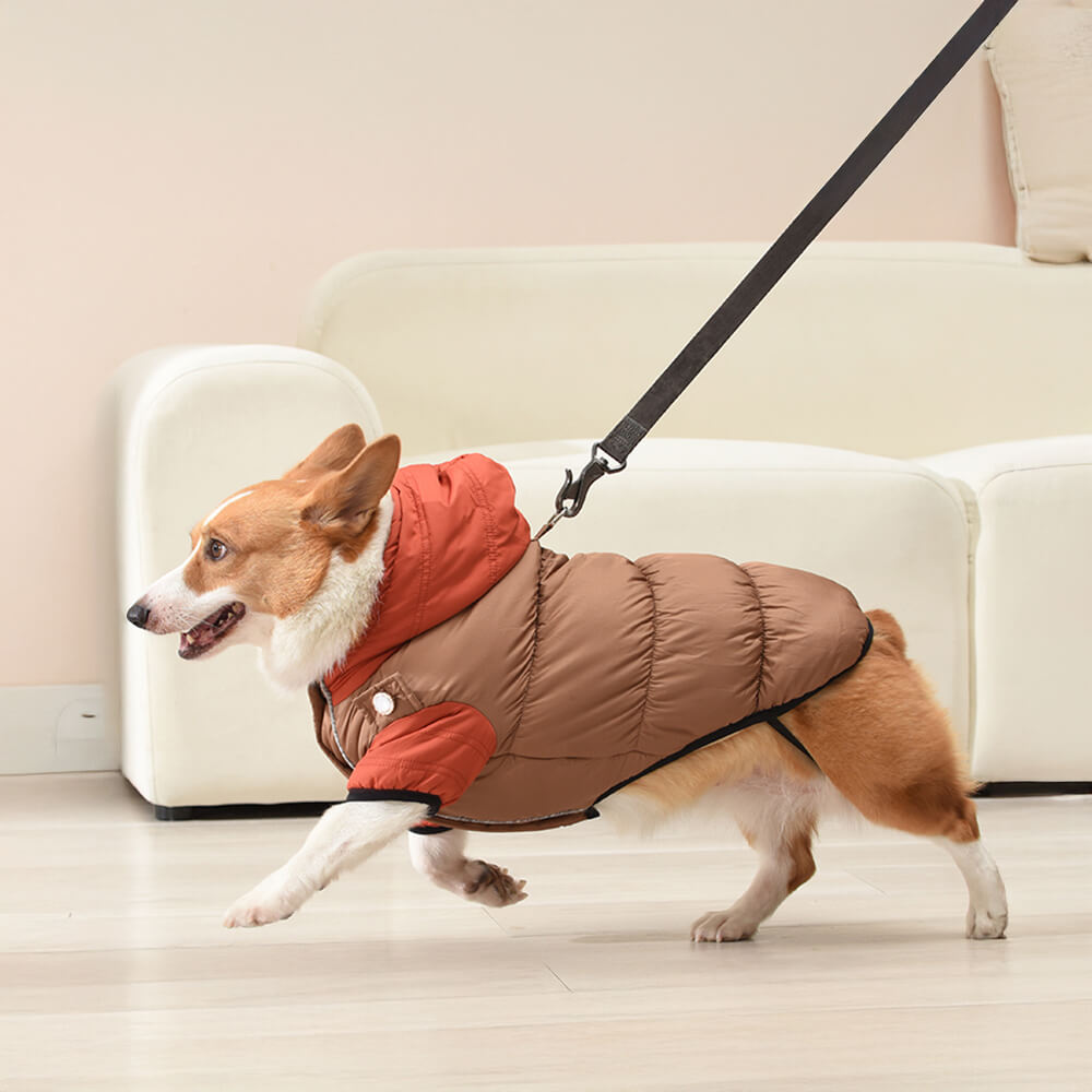 Veste à capuche pour chien, imperméable et coupe-vent, coupe chaude et ajustable