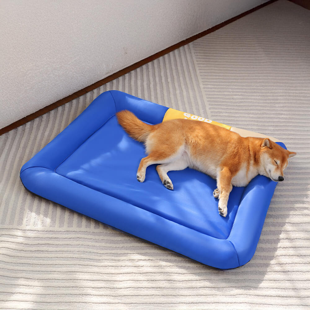 Colorblock Waterproof Scratch-Resistant All-Season Dog Mat