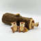 Interactive Squirrel Hide-and-Seek Dog Toy with Tree Trunk