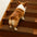 Faux Sisal Diamond Wear-Resistant Stair Protection Bullnose Non Slip Stair Treads