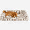 Fluffy Striped Orthopedic Bolster Dog Bed - Luxe Comfort