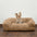 Fluffy Plush Thickened Cozy Pet Calming Bed Dog Cat Sofa Bed