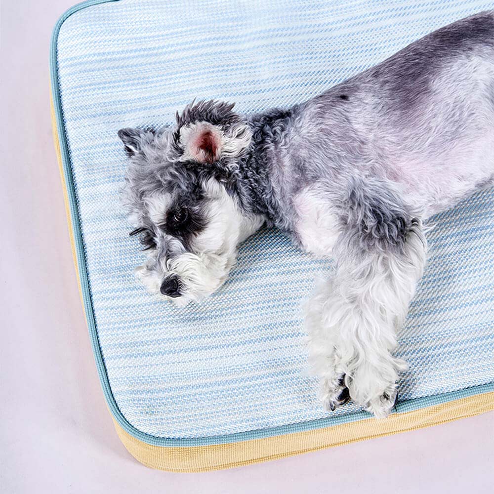 All Season Breathable Orthopedic Dog Bed with Waterproof Liner and Pillow