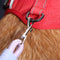 Anti-pull Nylon Dog Car Seat Safety Belt