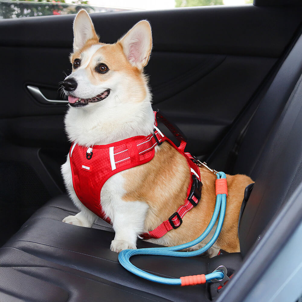 Anti-pull Nylon Dog Car Seat Safety Belt
