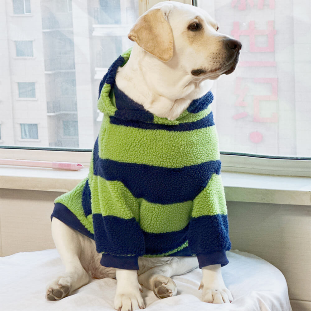 Bold Color Stripe Warm Breathable Dog Hoodie