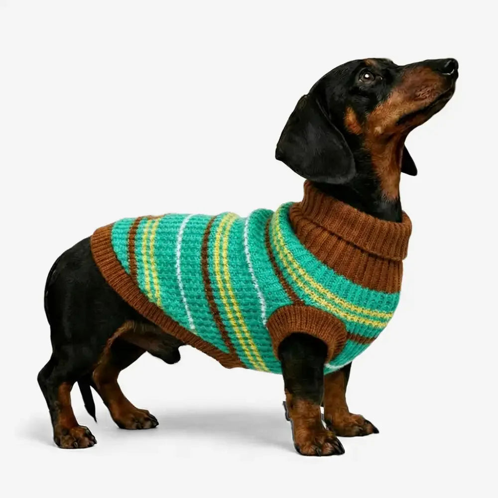 Colour Blocked Striped Dog Sweater For Small Dogs