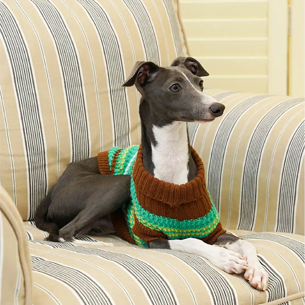 Colour Blocked Striped Dog Sweater For Small Dogs