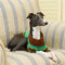 Colour Blocked Striped Dog Sweater For Small Dogs