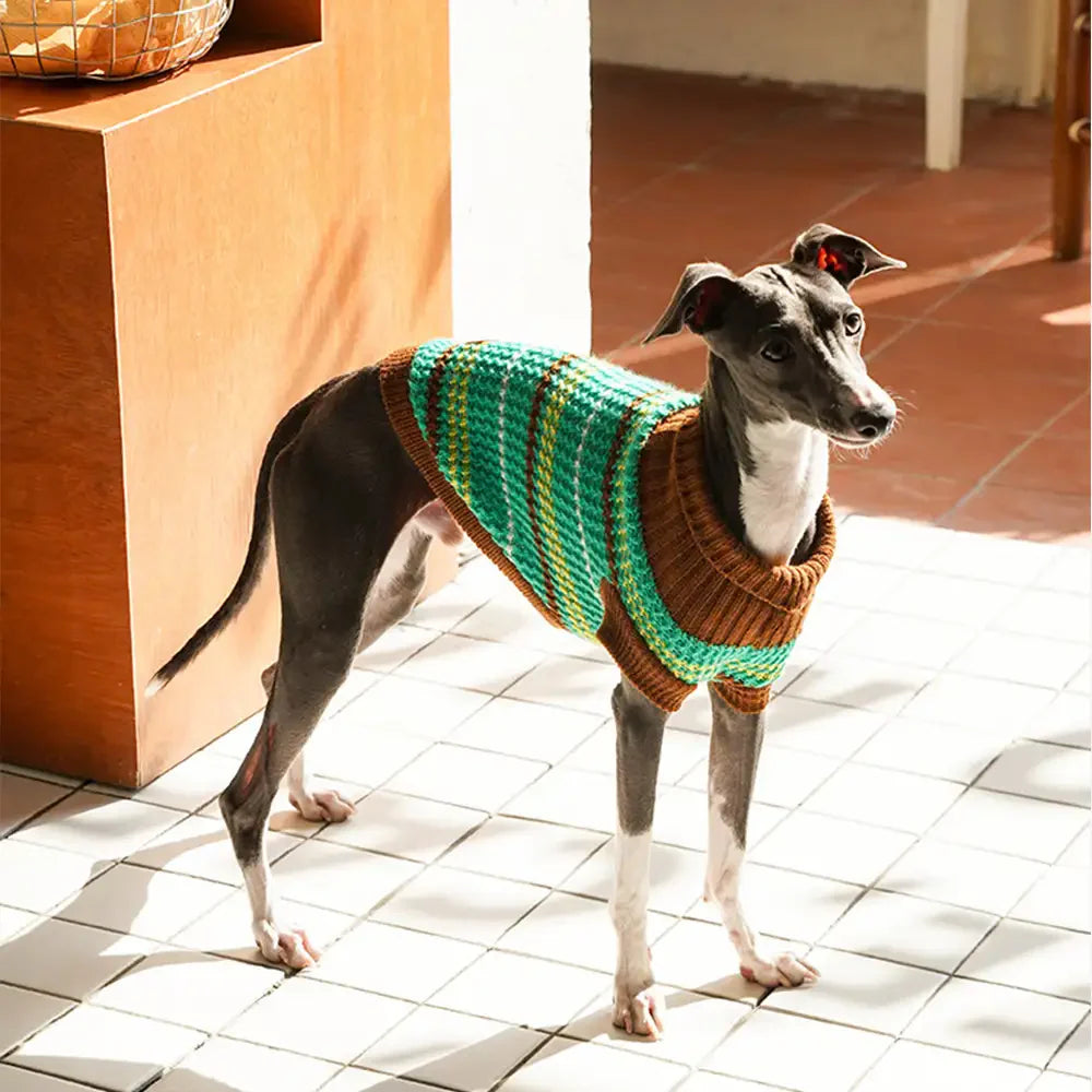 Colour Blocked Striped Dog Sweater For Small Dogs