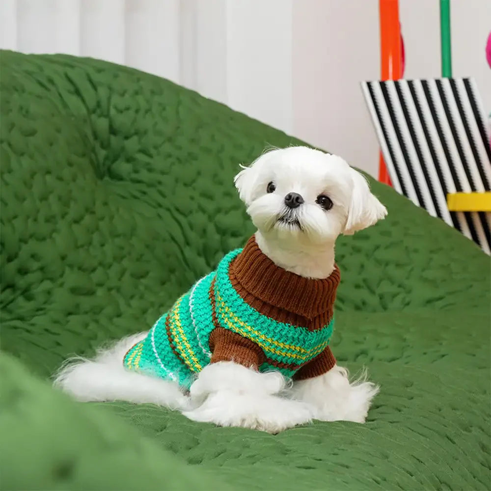 Colour Blocked Striped Dog Sweater For Small Dogs