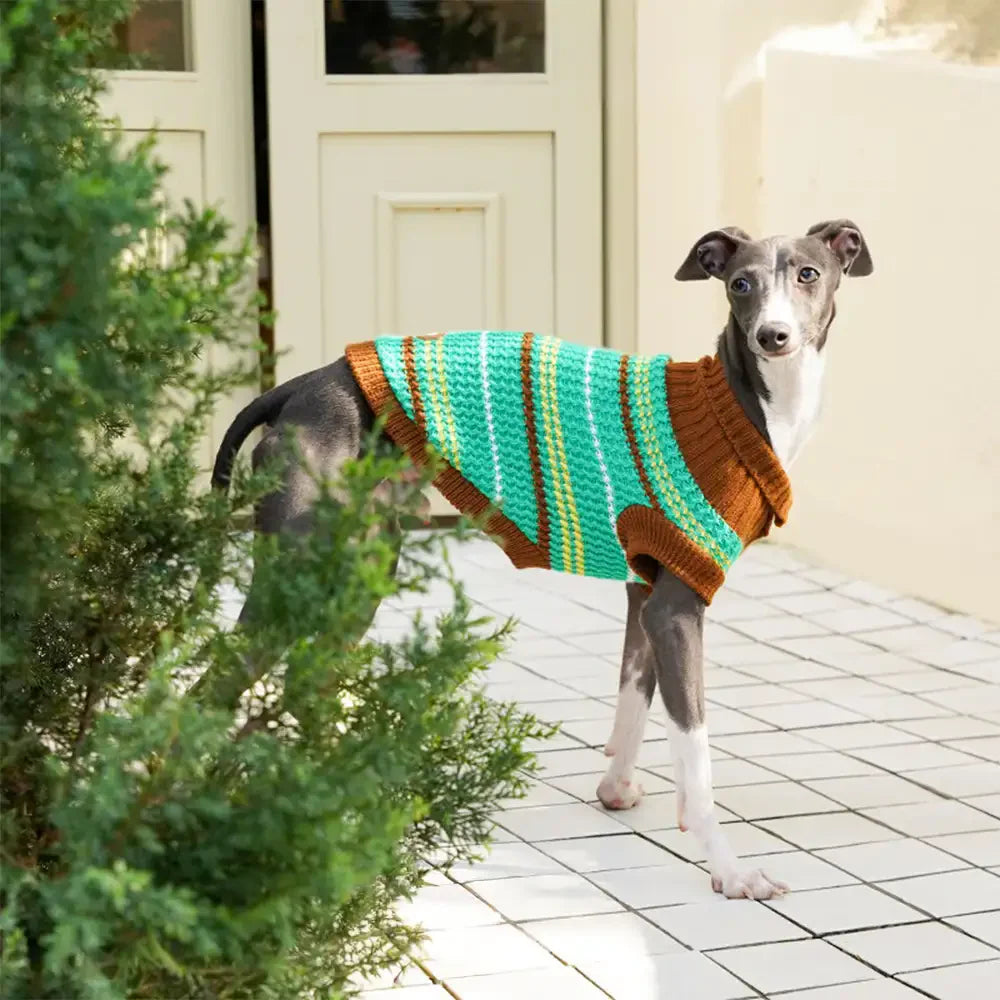 Colour Blocked Striped Dog Sweater For Small Dogs