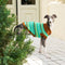 Colour Blocked Striped Dog Sweater For Small Dogs