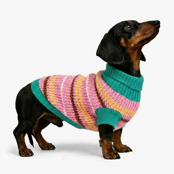Colour Blocked Striped Dog Sweater For Small Dogs