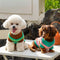 Colour Blocked Striped Dog Sweater For Small Dogs